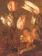 Jacob Gerritsz Cuyp Tulip Field oil painting
